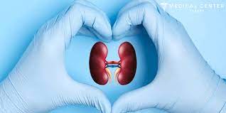 kidney transplant in turkey cal