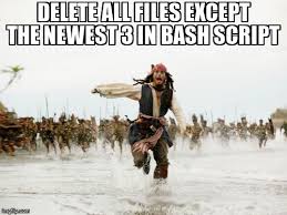 Meme Overflow on Twitter: "Delete all files except the newest 3 in bash  script https://t.co/TlMnZfxJZ0 #bash #ls #purge #linux  https://t.co/2Rh6n4WUii" / Twitter