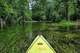 27 best places to kayak in florida
