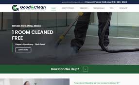 carpet cleaning s 40 best