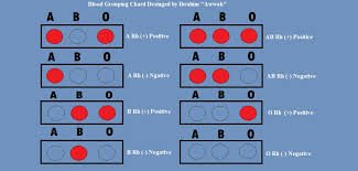 File Blood Group Chart Designed By Sir Ibrahim Awwab 29