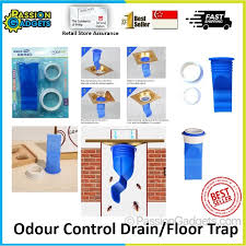 floor trap plastic sewer pipe bugs