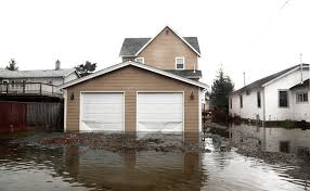 flooded basement cleanup cost everdry