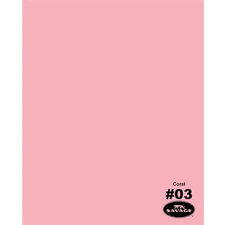 Savage Coral Pink 1 35 X 11m Background Paper Roll 9103