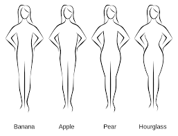Bravo to the men who like more than just one type, there's lots of variety to enjoy. File Bodyshapes Svg Wikimedia Commons