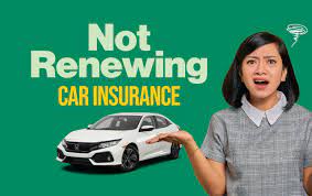 not renewing car insurance what will