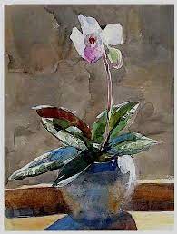 watercolor painting orchid in pot