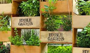 10 garden ideas for top garden design