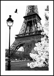 Street Of Paris Poster Black And