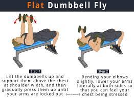 flat dumbbell fly what is it how to