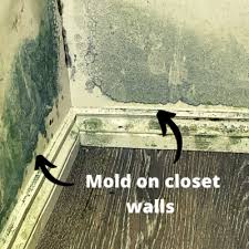 chapter 11 mold in bedrooms and common