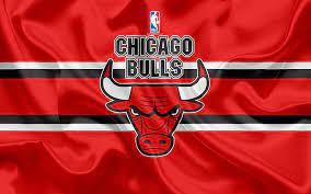 basketball chicago bulls logo nba