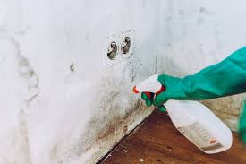 6 ways to prevent mould in your home