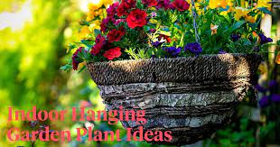 Hanging Garden Plant Ideas That Can