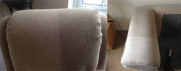 expert upholstery cleaning the carpet