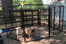 9 Best Dog Fences Keep Your Dog Safe