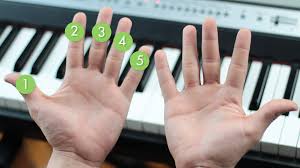 So i was wondering what the dimensions of the white keys and the black keys are. 3 Ways To Place Your Fingers Properly On Piano Keys Wikihow