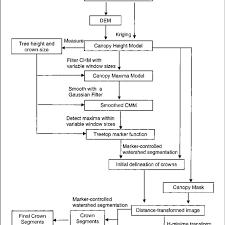 Flow Chart Of The Method For Tree Isolation Download