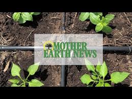 Mother Earth News Community Garden