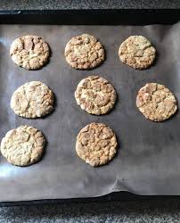 whole wheat flour and oats cookies