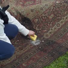 how to remove mold from carpet inside