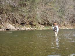 Loyalsock Creek Southern Tier Fly Fisher