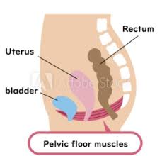 pelvic floor issues it may be that