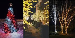 christmas light ideas for outdoor trees
