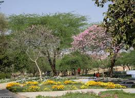 Kalkaji District Park In Delhi Major