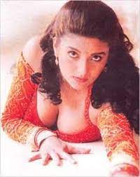 She has appeared in several tamil, malayalam, telugu, kannada and hindi films. Actress Heera Hot Heera Rajagopal Images Actress World Heera Rajagopal Debuted In Tamil Under Sathya Jyothi Banner With The Film Idhayam Alongside Murali Songo