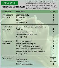 Glasgow Coma Scale For Adults Nbcot Exam Prep Nursing