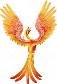 a phoenix rising from the ashes stock