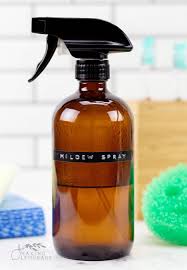 homemade mold and mildew spray making