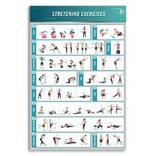 Exercise Posters Set Of 7 Workout Charts Strength Aerobic