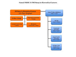 Pathway To Biomedical Careers Inbre Iv