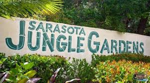 Sarasota Jungle Gardens Anna Maria