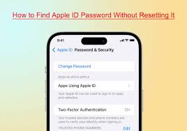 find apple id pword without resetting it