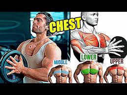 full chest workout exercises upper