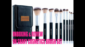 makeup brushes shany cosmetics
