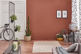 brown colour walls indigo paints