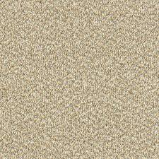 stainfree tweed in cool beige carpet