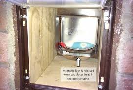 Fitting A Cat Or Small Dog Flap Through
