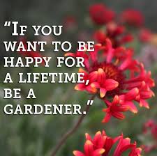 An extensive list of inspirational quotes about gardening and for gardeners, complete with attribution to the original author of the quotes. Happiness Plant Quotes Pinterest Novocom Top