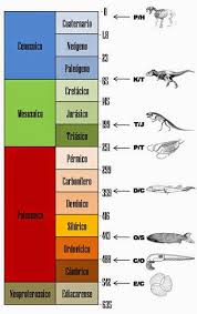 Extinciones masivas.