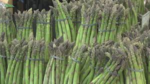 urine smell after you eat asparagus