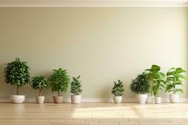 plant room stock photos images and