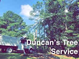 We work in decatur georgia with our crane. The 10 Best Tree Services In Decatur Ga With Free Estimates