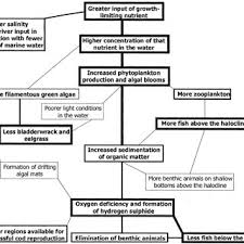 A Conceptual Flow Model Of The Eutrophication Process After