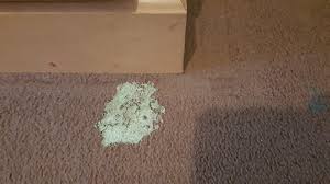 how to remove silly putty from carpet