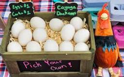 why-are-duck-eggs-not-sold-in-stores